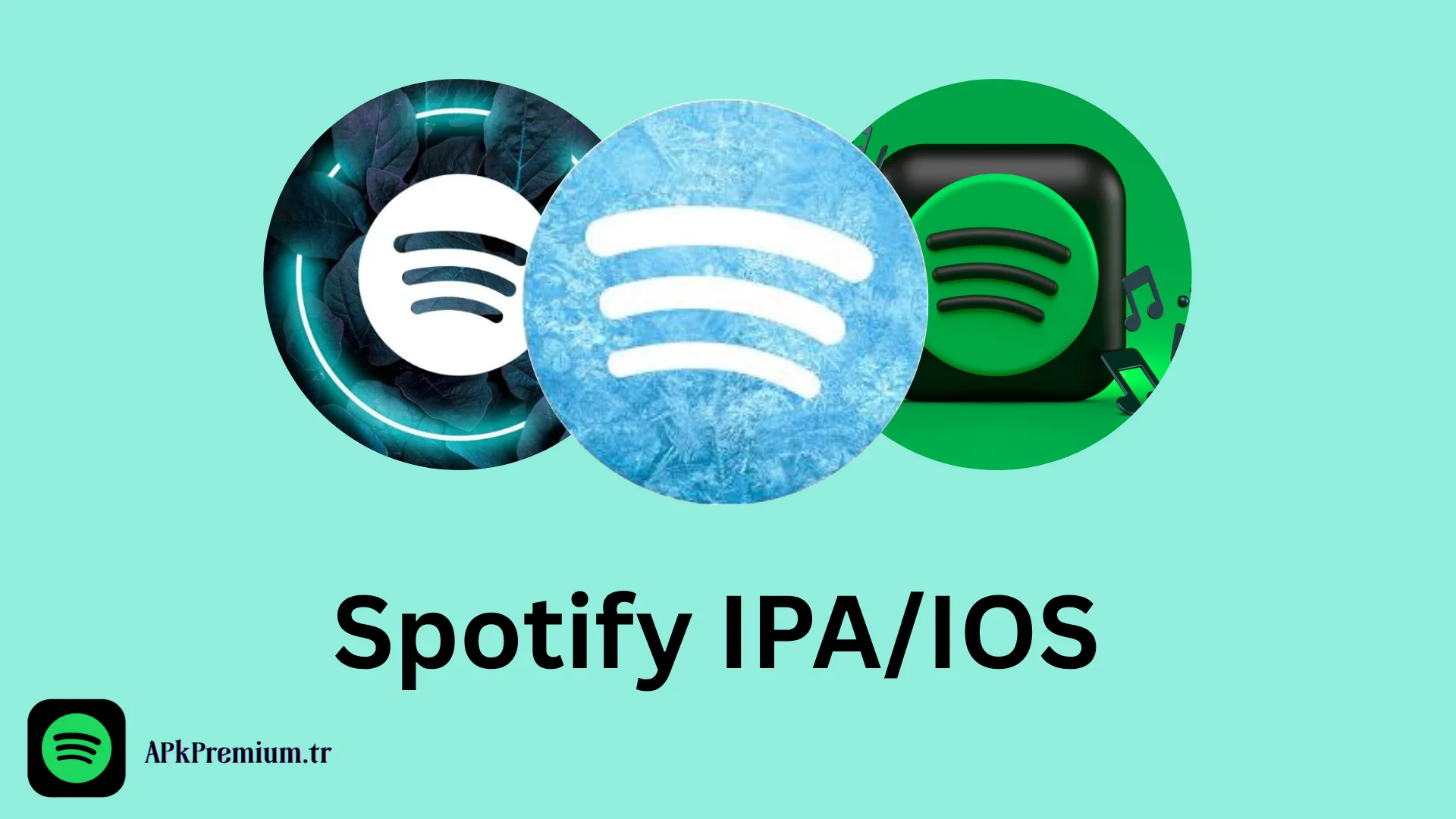 Spotify IPA